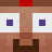 HL_ALVS