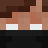 Ninegoose176274