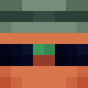 .BlinkingLand41