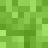 SonsyLizard7