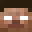 004z Minecraft avatar