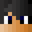 Minecraft players skin