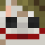 Minecraft players skin