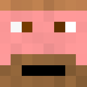 Minecraft profile picture for @Correctional