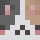 HateCheater Minecraft head