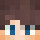 6m11 Minecraft head