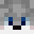 Minecraft head of 667h