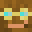 Minecraft head of Kaenguru0509