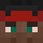 Minecraft players skin