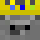 5FSL Minecraft head