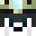 BlessedWolf134 Minecraft head