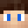 raw27 Minecraft head