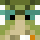 nymw Minecraft head