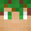 Minecraft avatar for DFederer