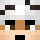 _sany Minecraft head