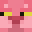 _dolfin