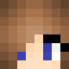 Minecraft players skin