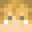 Minecraft players skin