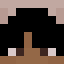 Minecraft players skin
