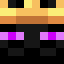 Minecraft avatar for EndEmperor