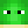 Swampert2212 Minecraft head