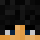 ReverseFibre Minecraft head