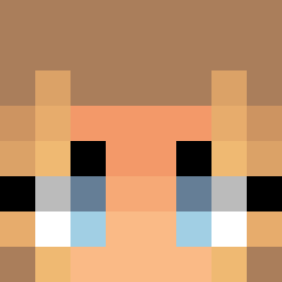 The shop owners Minecraft face