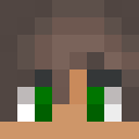 Ingoen Minecraft-head