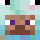 Bevruchteling Minecraft head
