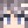 SwavyGetsNoRNGs Minecraft head