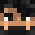 st1vek