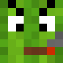 MelonSeed1