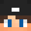 Minecraft players skin
