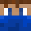Minecraft avatar for DavvoMC