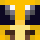 BugSittingOnRock Minecraft head