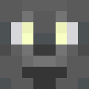 X3N0RU Minecraft-head