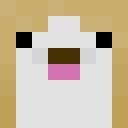 Protoceraptos12k