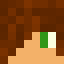Minecraft players skin