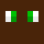 Treegrove Minecraft head