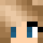 hollystormz Minecraft head