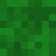 Minecraft profile picture for @SnR