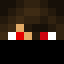 Minecraft players skin