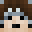 Skin van farex