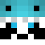 Minecraft players skin