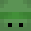 Turtletwin12