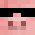 piotreeek
