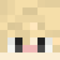 The shop owners Minecraft face