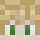 filvp Minecraft head