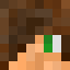 Minecraft players skin