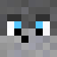 Minecraft players skin